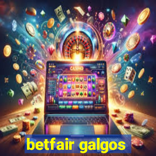 betfair galgos